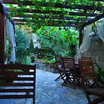 Family Daf 奥布佐尔