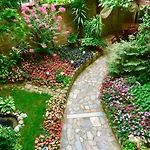 Family Daf 招待所 奥布佐尔