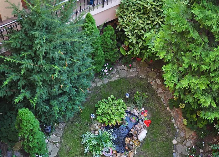 게스트하우스 Family Daf 오브조르